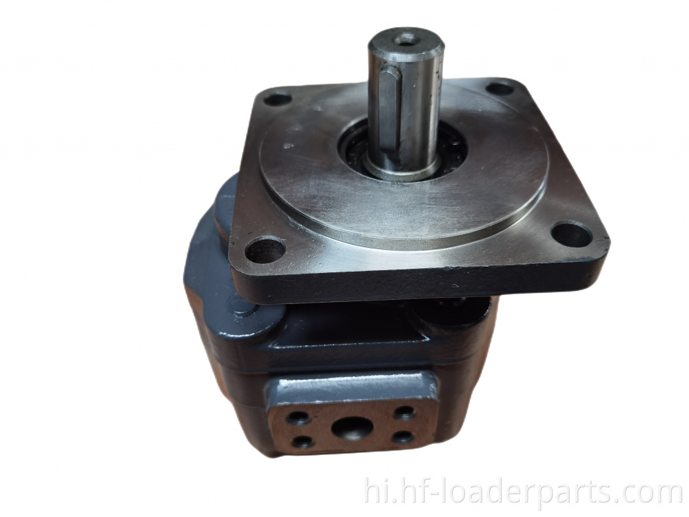 SEM के लिए हाइड्रोलिक गियर पंप Hydraulic Gear Pump for SEM